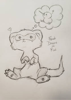 Ferret Dreams of Kiwi