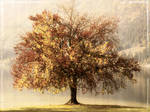 A Retro Autumn by garnettrules21