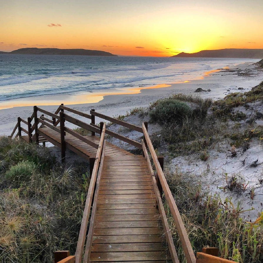 beach daze by rangerbob333 on DeviantArt