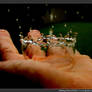 Holding a Piece of Time
