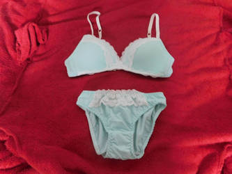 Bra and Panty set #4