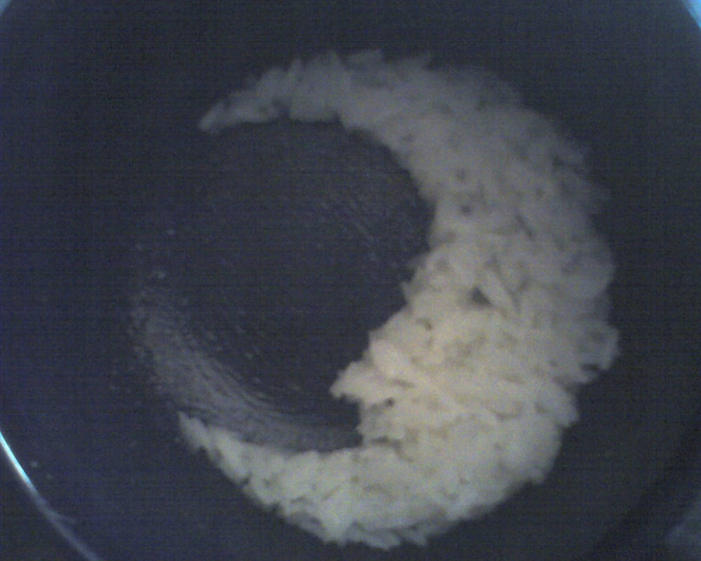 Rice Moon by Sk8ingjenius on DeviantArt