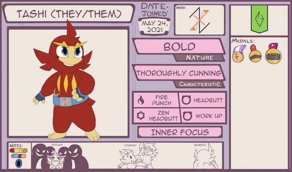 PMD-Outlaws Character App - Tashi