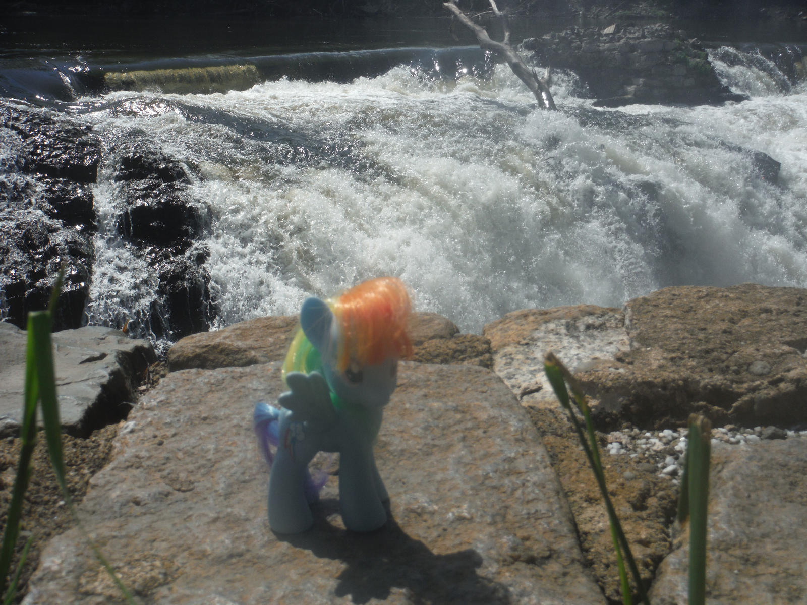 Ponies Around the World 2014- Paterson Falls