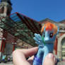 Rainbow Dash at Ellis Island, NYC