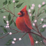 Spring of the cardinal
