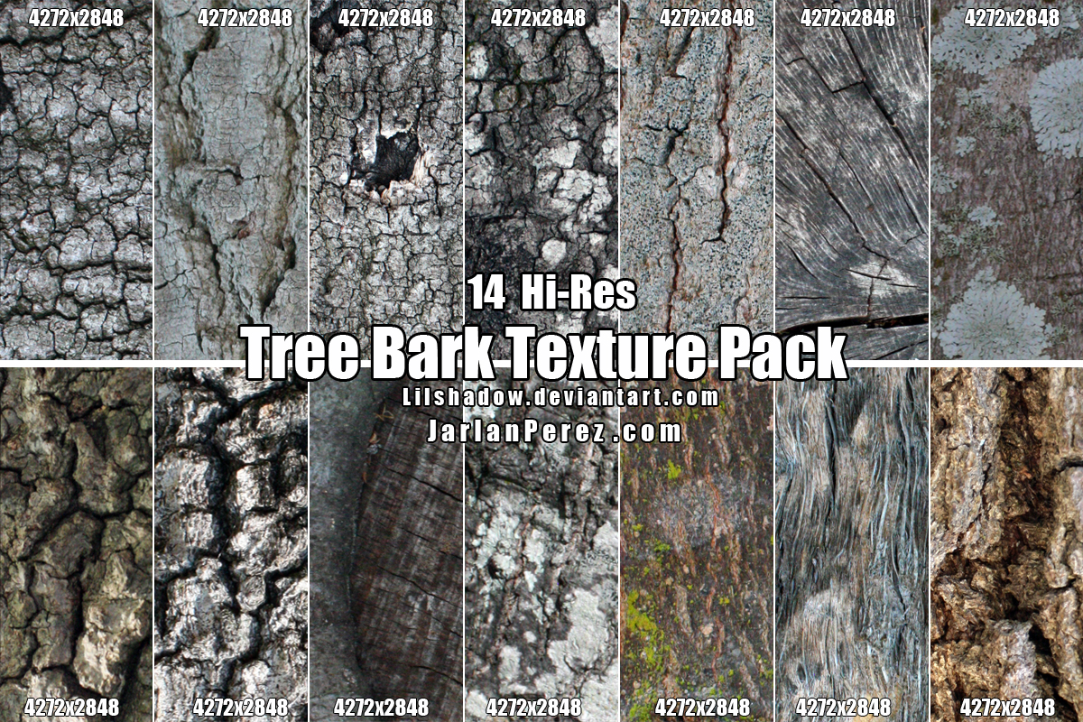 Hi-Res Tree Bark Texture Pack