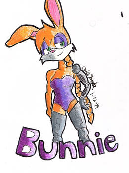 Bunnie Rabbot