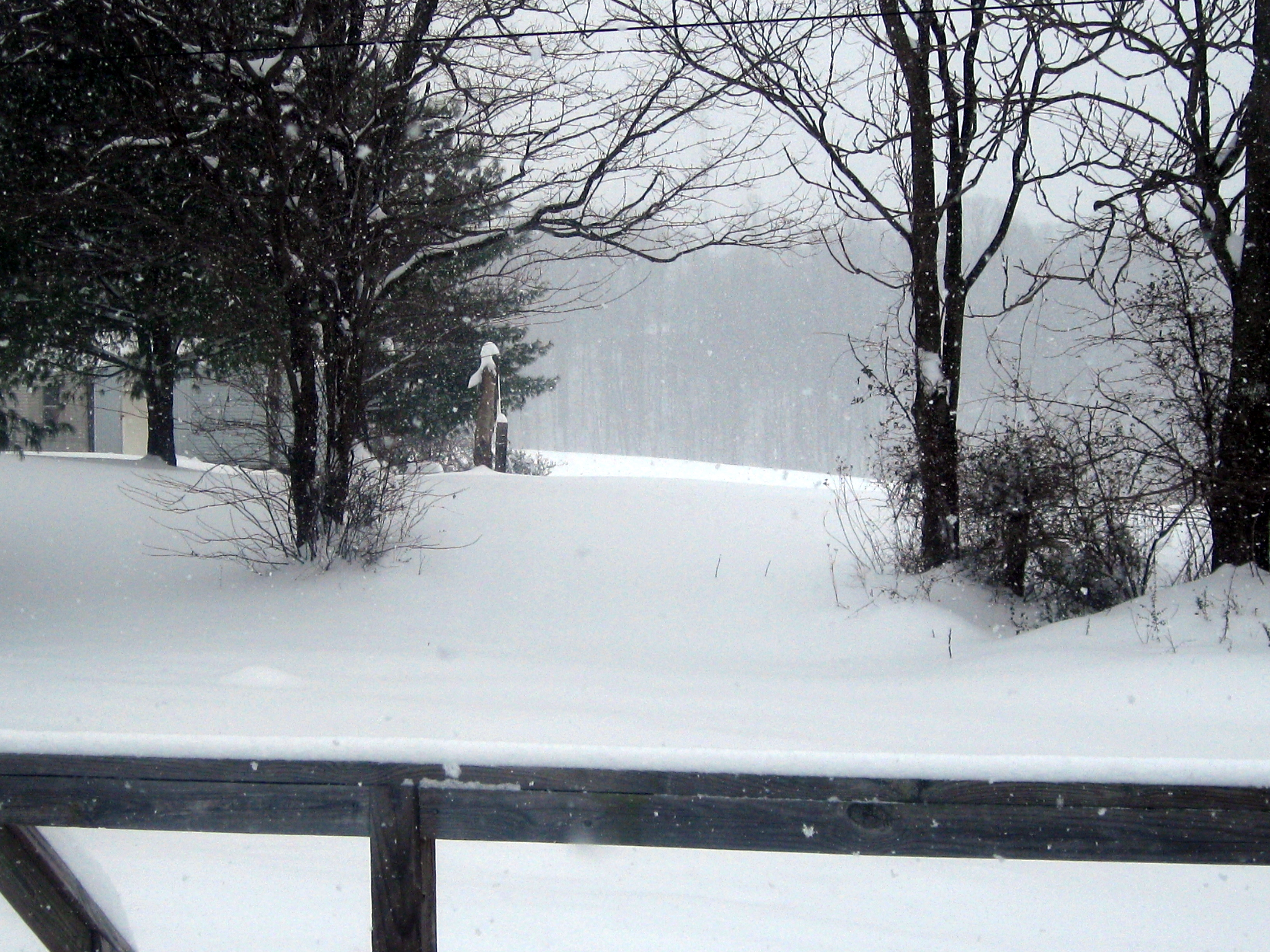 Blanket of white