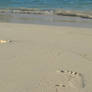 Footprint in the Sand