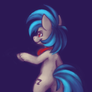 Vinyl Scratch