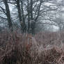 a hidden place