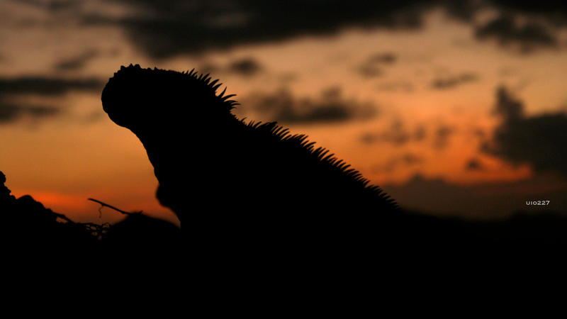 .sharp skin. by uio227 on DeviantArt