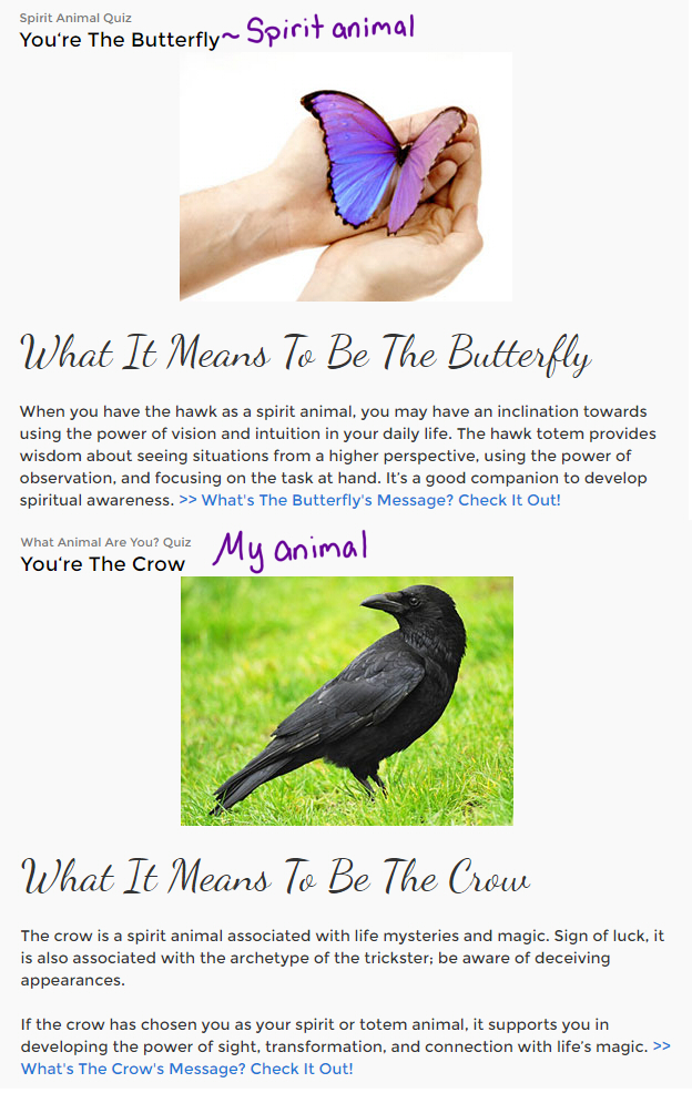 Spirit animal and the animal that represents me by Fairybunny99 on DeviantArt Spirit animal and the animal that represents me by Fairybunny99 on DeviantArt