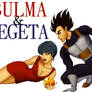 Bulma and Vegeta American Show Style