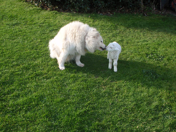 minty and zoe kisses