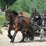 7. Power Horse Duiven 2011