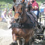 48. Power Horse Duiven 2011