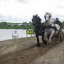48. Power Horse Duiven 2012