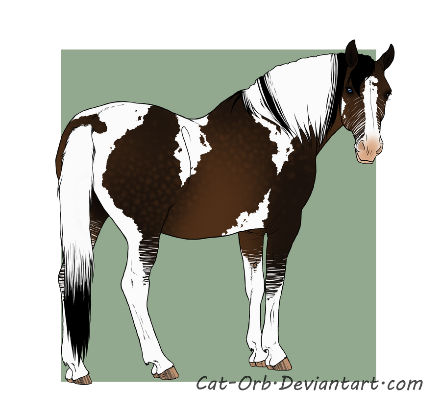 Custom Design for TheDarkHorse13 by Cat-Bells on DeviantArt