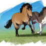Draw This Again: Zutara Horses