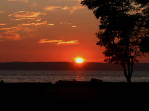 Puget Sound Sunset Camano