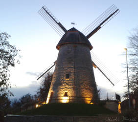 The mill