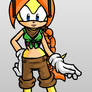 Molly's look in Sonic Boom