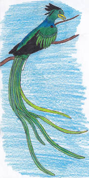 Quetzal... kind of