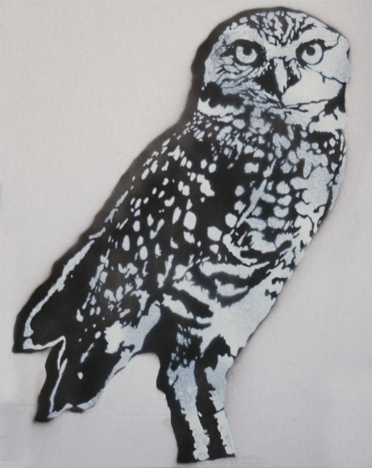 Owl stencil by MrM4tty on DeviantArt