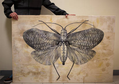 Moth canvas