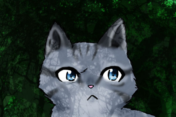 Jayfeather