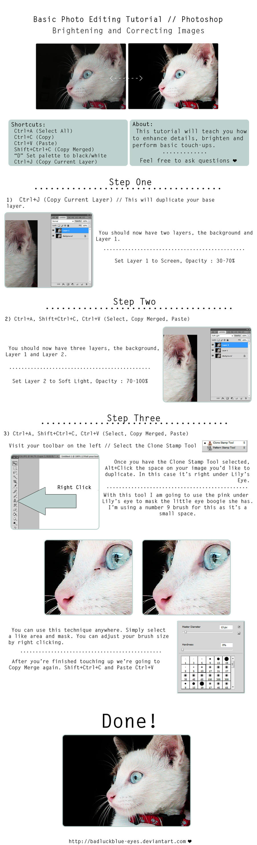 Basic Photo Editing In Three Steps