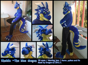 Kheldis the blue dragon half suit