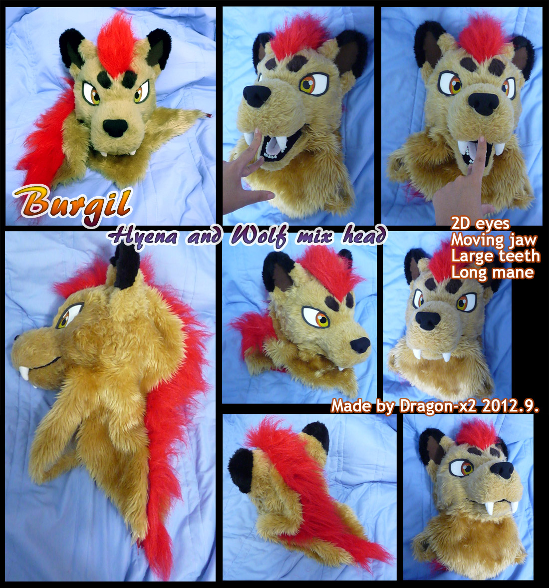 Burgil the hyena/wolf hybrid head