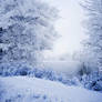 Premade Background Snow Lake