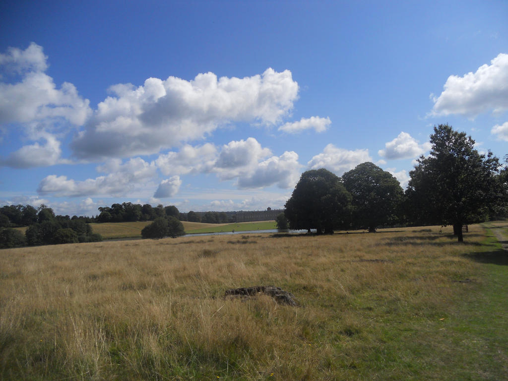 Petworth House and Park 099