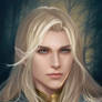 Commission: Glorfindel