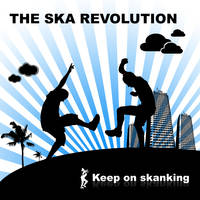 The SKA revolution