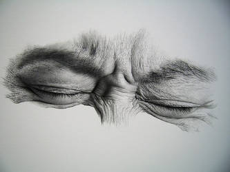 eye drawing