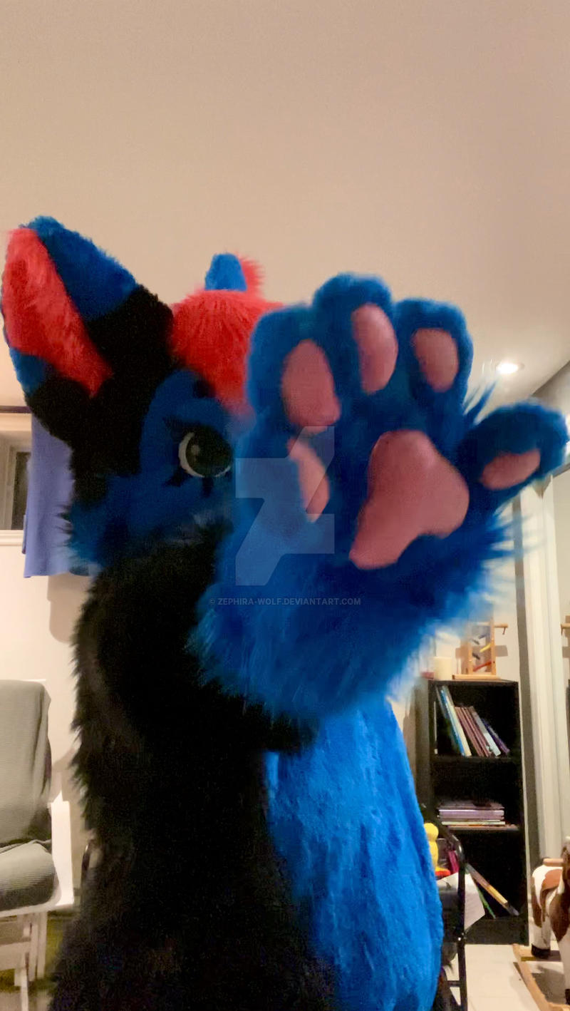 ZephiraWolf - Fursuit