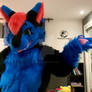 ZephiraWolf - Fursuit