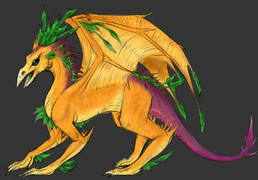 Carrot Dragon-