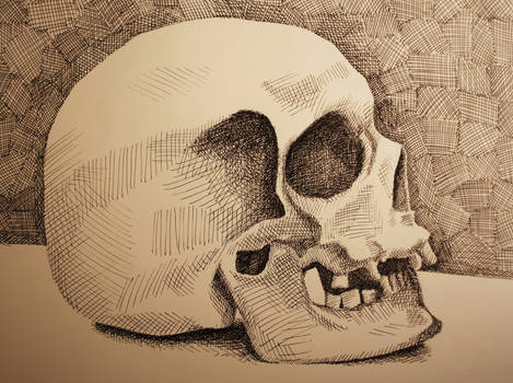 A Skullish Still Life