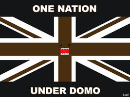 One Nation under Domo