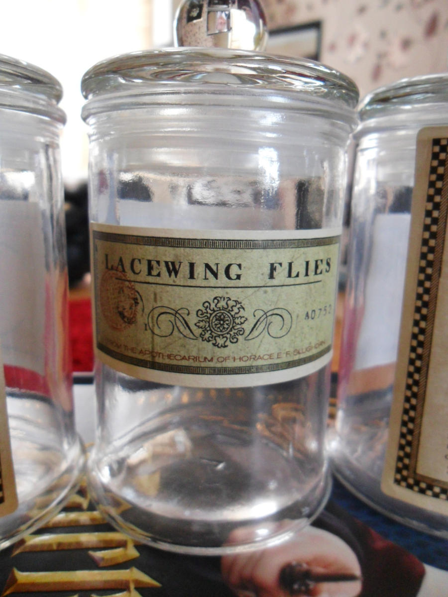 Harry Potter Lace Wing Flys Jar