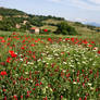 Beautiful Continent - Italy