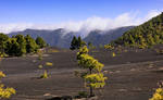 Beautiful Islands by Laura-B-R