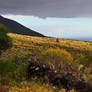 Beautiful Islands - La Palma