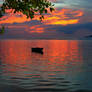 Tropical Sunset - La Digue